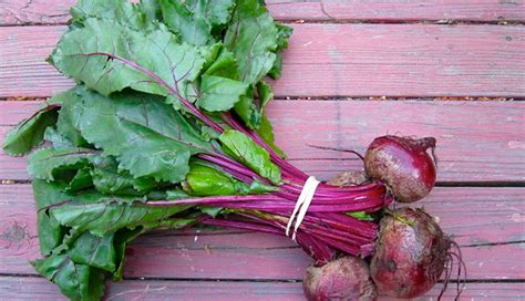 6 Amazing Health Benefits of Beet Greens - lifeberrys.com