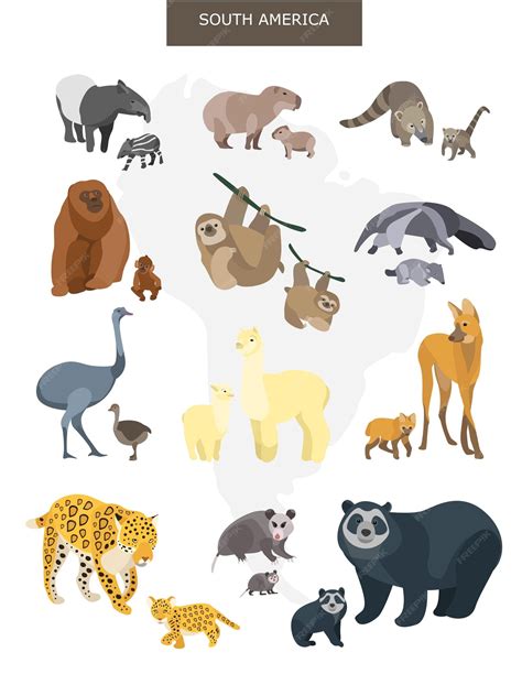 South American Animals
