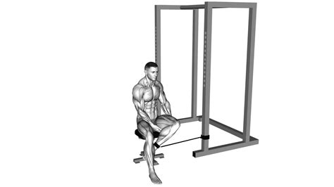 Improve Hip Mobility: Band Seated Hip External Rotation - Exercise ...