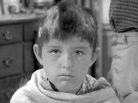 The Twelve Best LEAVE IT TO BEAVER Episodes of Seasons One & Two | THAT ...