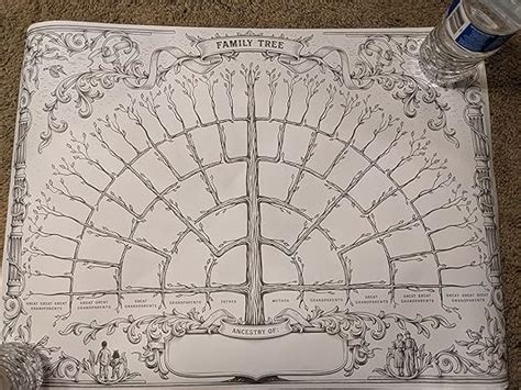 Buy Palace Learning 1 Pack - Family Tree Chart To Fill In - 6 ...
