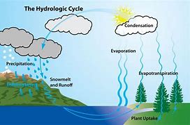 Image result for hydrological