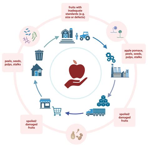 Apple Waste/By-Products and Microbial Resources to Promote the Design ...