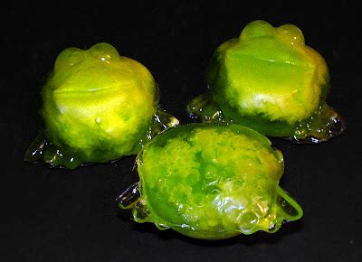 Image result for Exploding Frogs