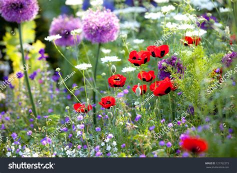 Flower 的图像结果