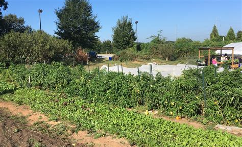 Stories of Impact: Good Samaritan Health Center of Atlanta - Second ...