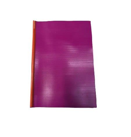 Delhi file House_Important A4 Size Documents Strip File,Color Parpal ...
