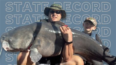 Record 105-pound blue catfish caught and released in Iowa | Kansas City ...