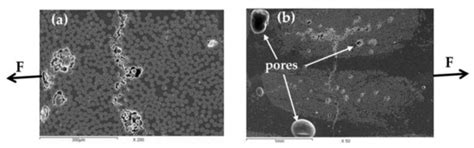 The Role of Orientation and Temperature on the Mechanical Properties of ...