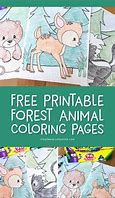 Image result for Cute Baby Animal Coloring Pages Dolphins