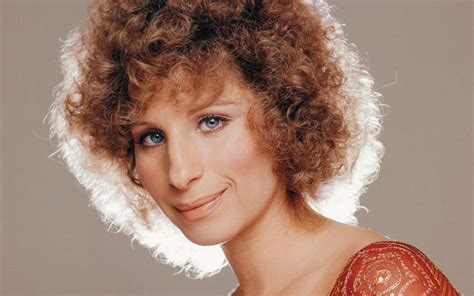 The Barbra Streisand Effect - Telegraph