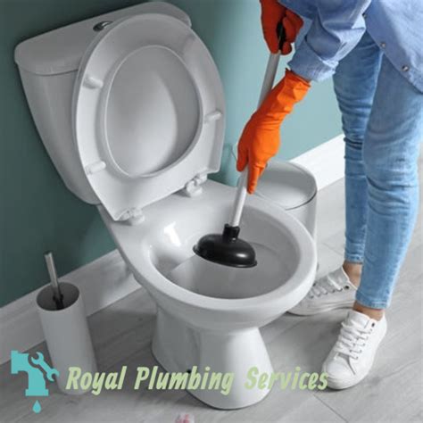 How to Treat a Clogged Sink Without Solvents Or Harsh Chemicals | by Royal Plumbing Services ...