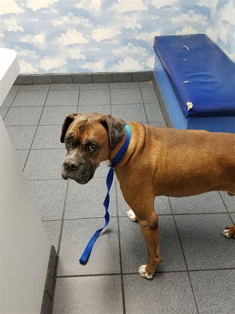 Riverbark Veterinary Hospital