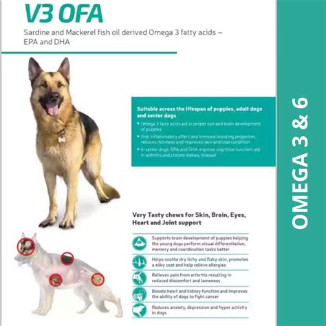 Buy Vvaan V3 OFA Tablet for Dogs Online in India | Supertails