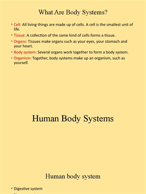 Science 4 Human Body System | PDF | Human Body | Skeleton