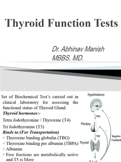 Thyroid Function Test Explained 的图像结果