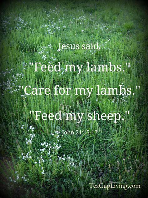 Peter Feed My Sheep Kjv