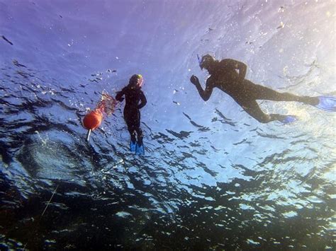 Salty Divers (Jupiter) - 2021 What to Know Before You Go (with Photos ...