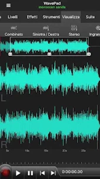 Image result for WavePad Audio Editor Tutorial