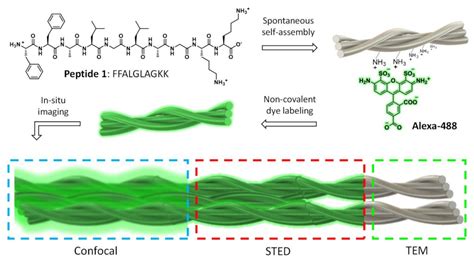 Advanced Methods for the Characterization of Supramolecular Hydrogels