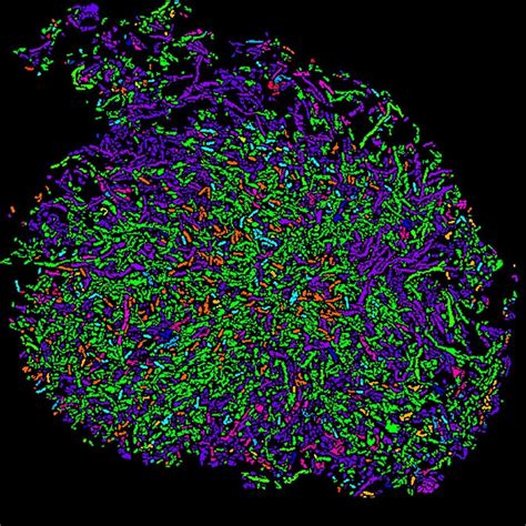 Image result for Spatial Mapping Graphics