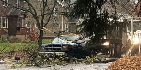 Man hospitalized after tree falls on pickup truck in Cleveland Heights