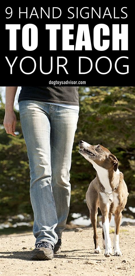 Image result for Hand Signs for Dogs