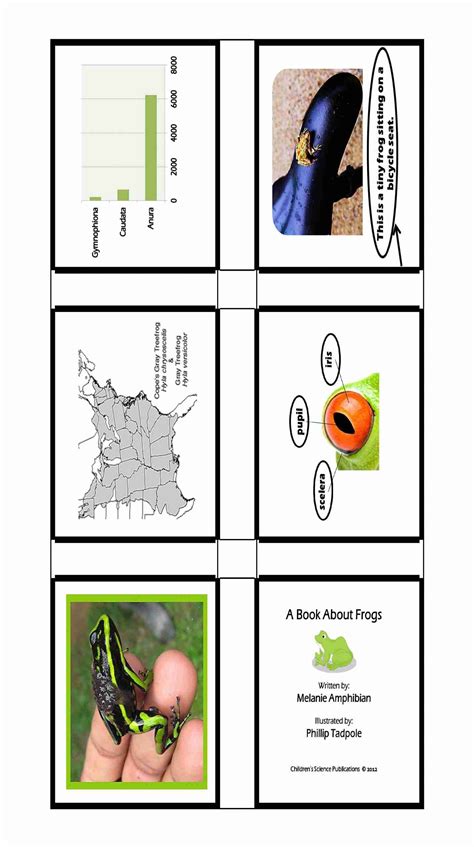 Image result for Examples of Text Features