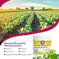 Buy OrganicDews Micro Booster Nutrient Fertilizer for Plants 300 g ...