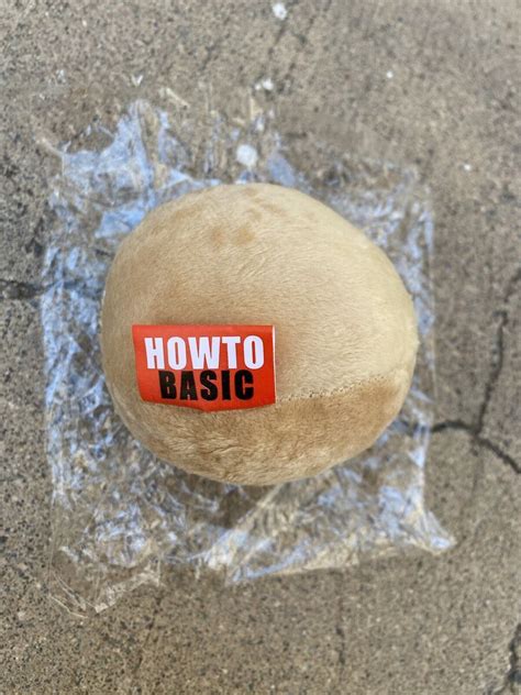 Image result for HowToBasic Egg