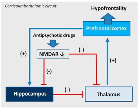 IJMS | Special Issue : Glutamate Receptors in Health and Disease