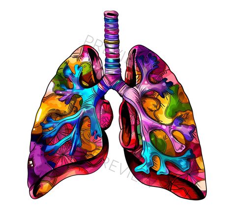 Lungs Clipart | Anatomy Illustrations | Groovy Lung | Lungs Silhouette ...