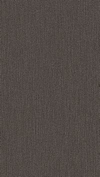 CUPPRIC MIRROR (98995 HGL)