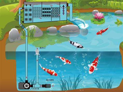 2018年最全面锦鲤鱼池过滤系统解析，对照一下您的池塘过滤系统是否需要优