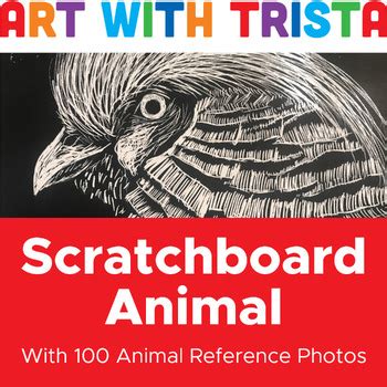 Scratchboard Animals by Art With Trista | Teachers Pay Teachers