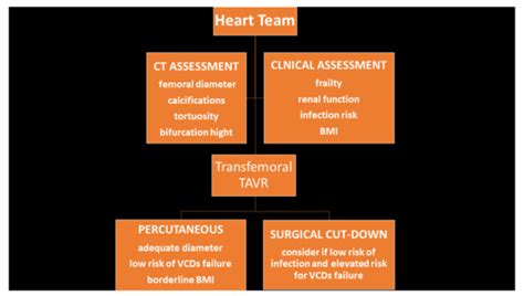 JCM | Special Issue : Transcatheter Structural Heart Disease ...
