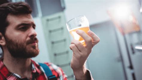 Beer production | Alfa Laval