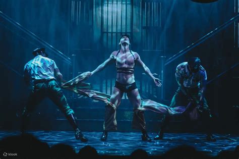 Rezultat imagine pentru Musical Touch and Class