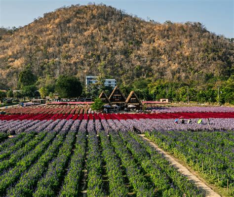 Image result for What Is Spring