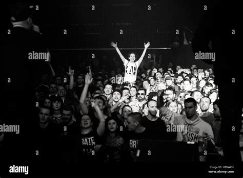 Concert Fans 的图像结果