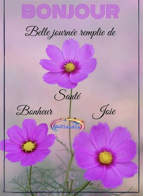 Pin by Dorothée Sktnk on Bonne journée ️ ️ | Greetings, Buongiorno