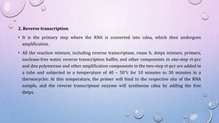 Image result for Animation PCR Reverse Transcriptase