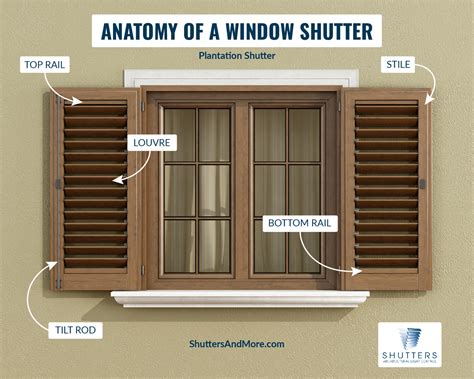 Window Shutter Design 的图像结果