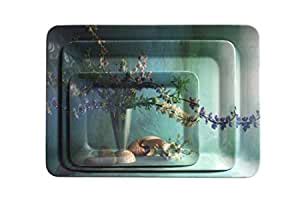 Snazzynest Melamine Dinning Cum Serving Tray for Kitchen and Office ...