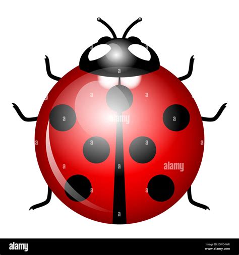 Illustration of ladybird (symbol of good luck Stock Photo - Alamy