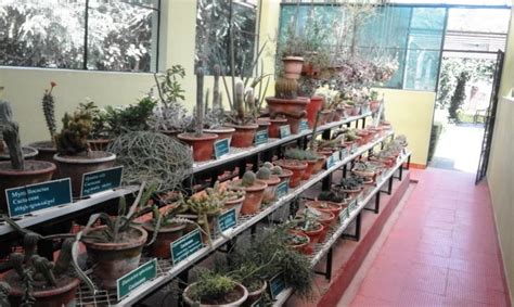 Know everything about the first teak museum of Nilambur - Hello Travel Buzz