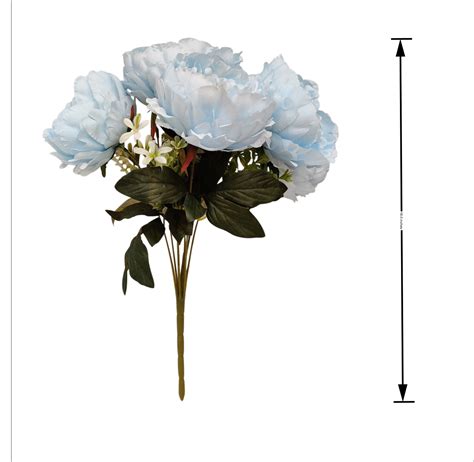 Peony Flowers at Best Price in India-Bharat Wholesales