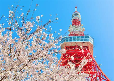 Japan Tokyo Tower 的图像结果