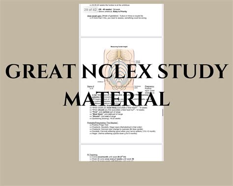MARK K LECTURE NOTES 2023 Great Studying Tool for Lpn and Rn Notes of ...