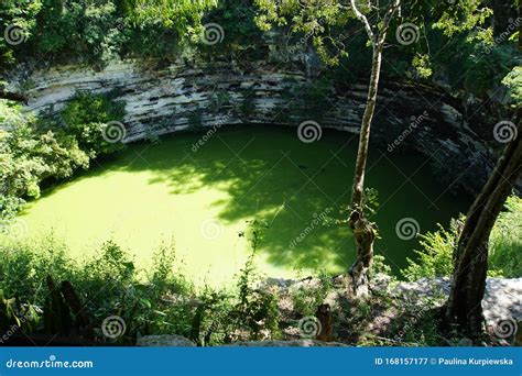 The Sacred Cenote in Chichen Itza, Mexico Stock Image - Image of ...